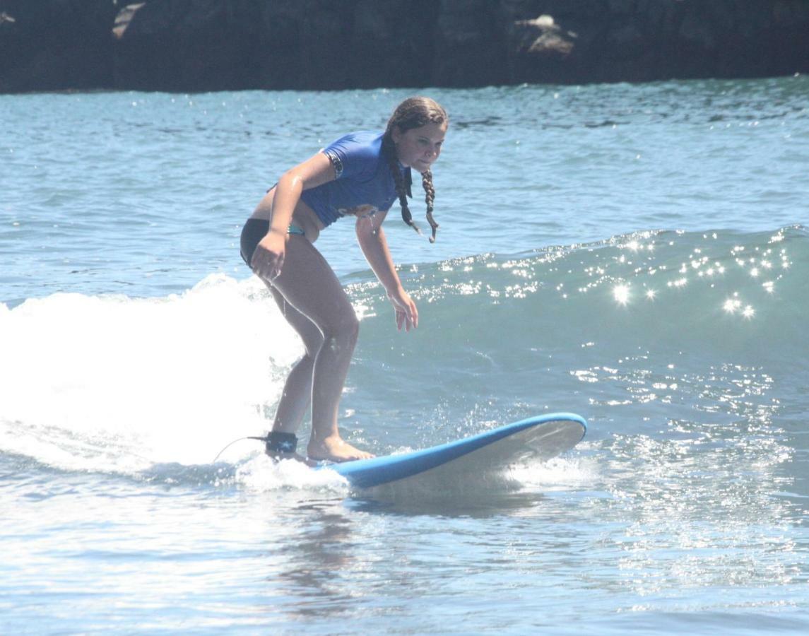 Nature Madeira Homestay *